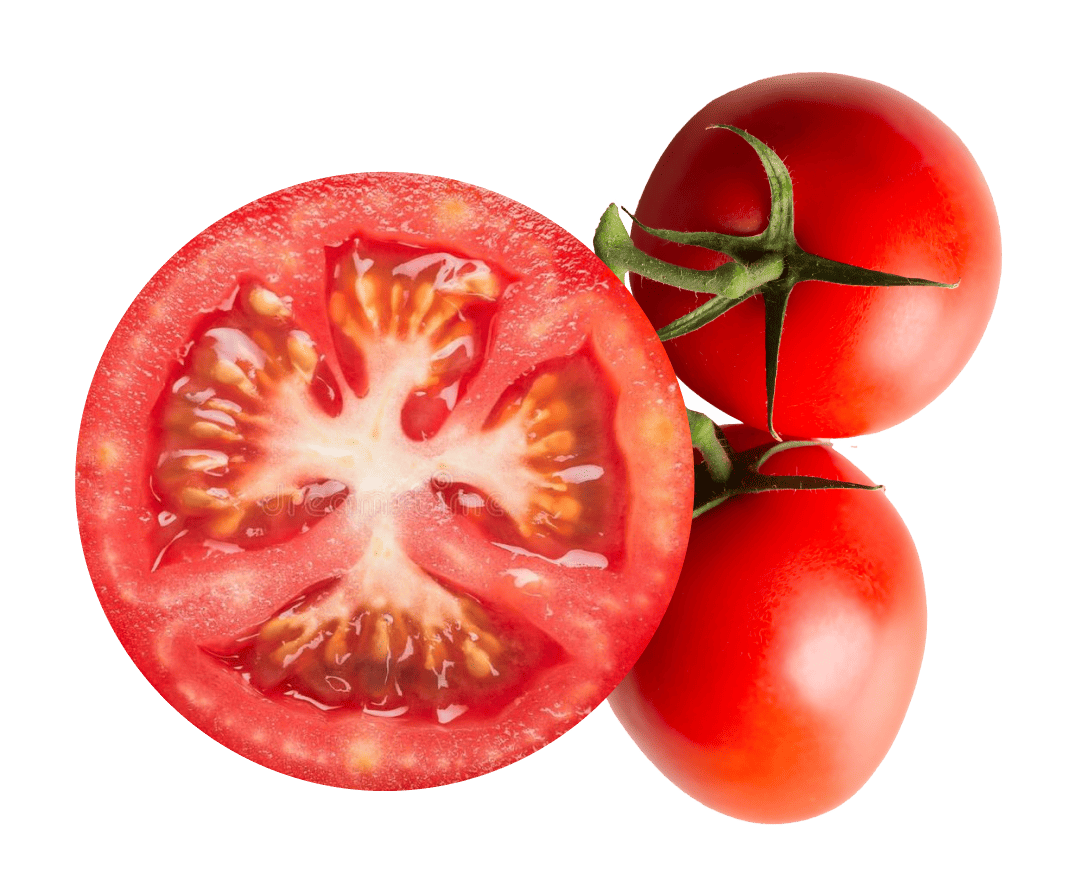 обычный томат