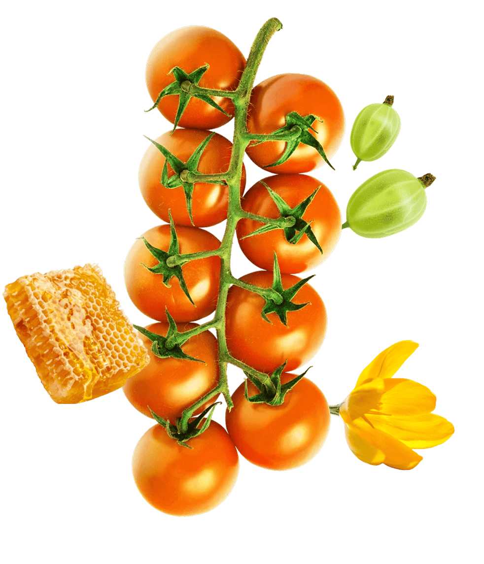 желтые черри