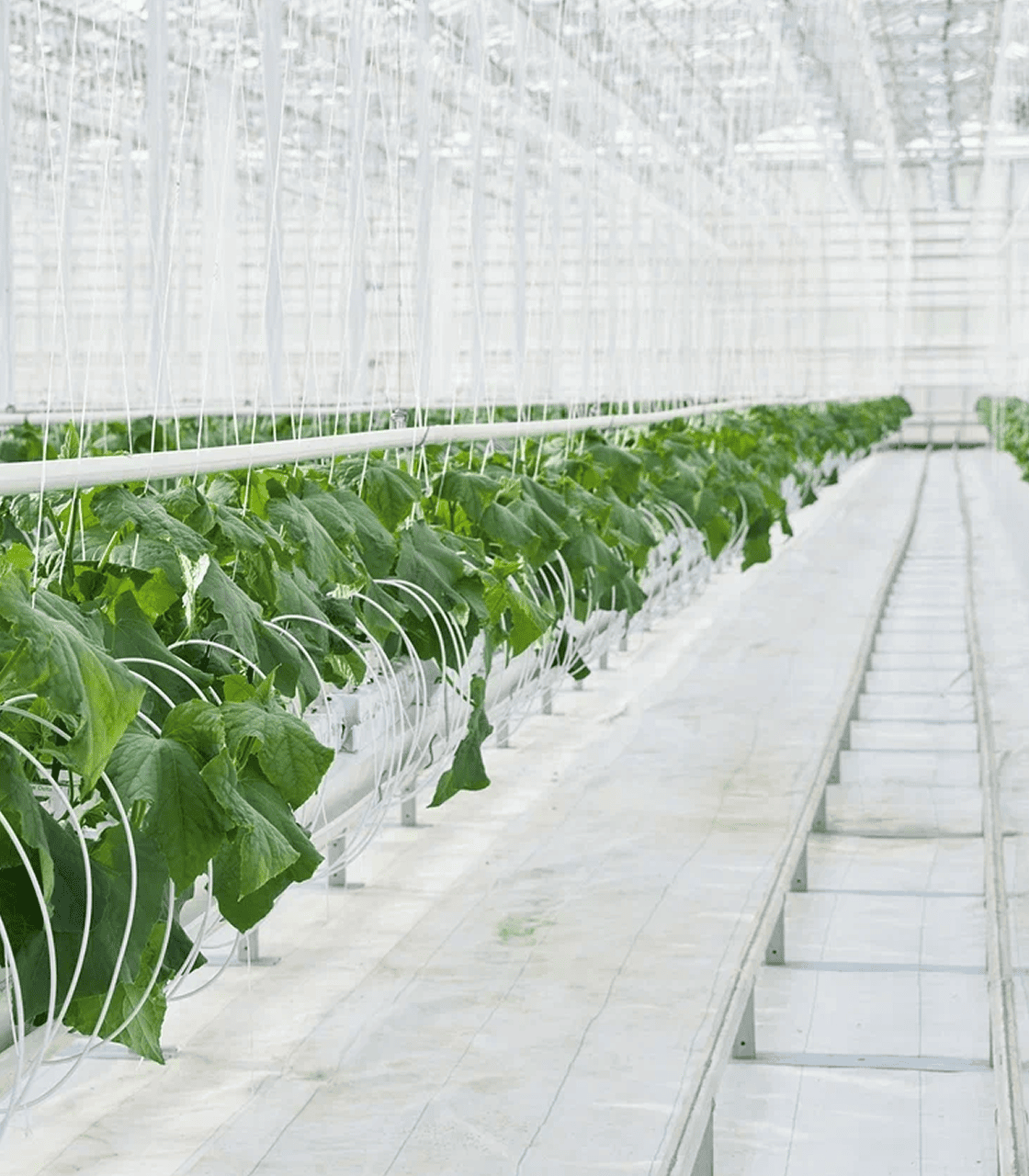 Наша история