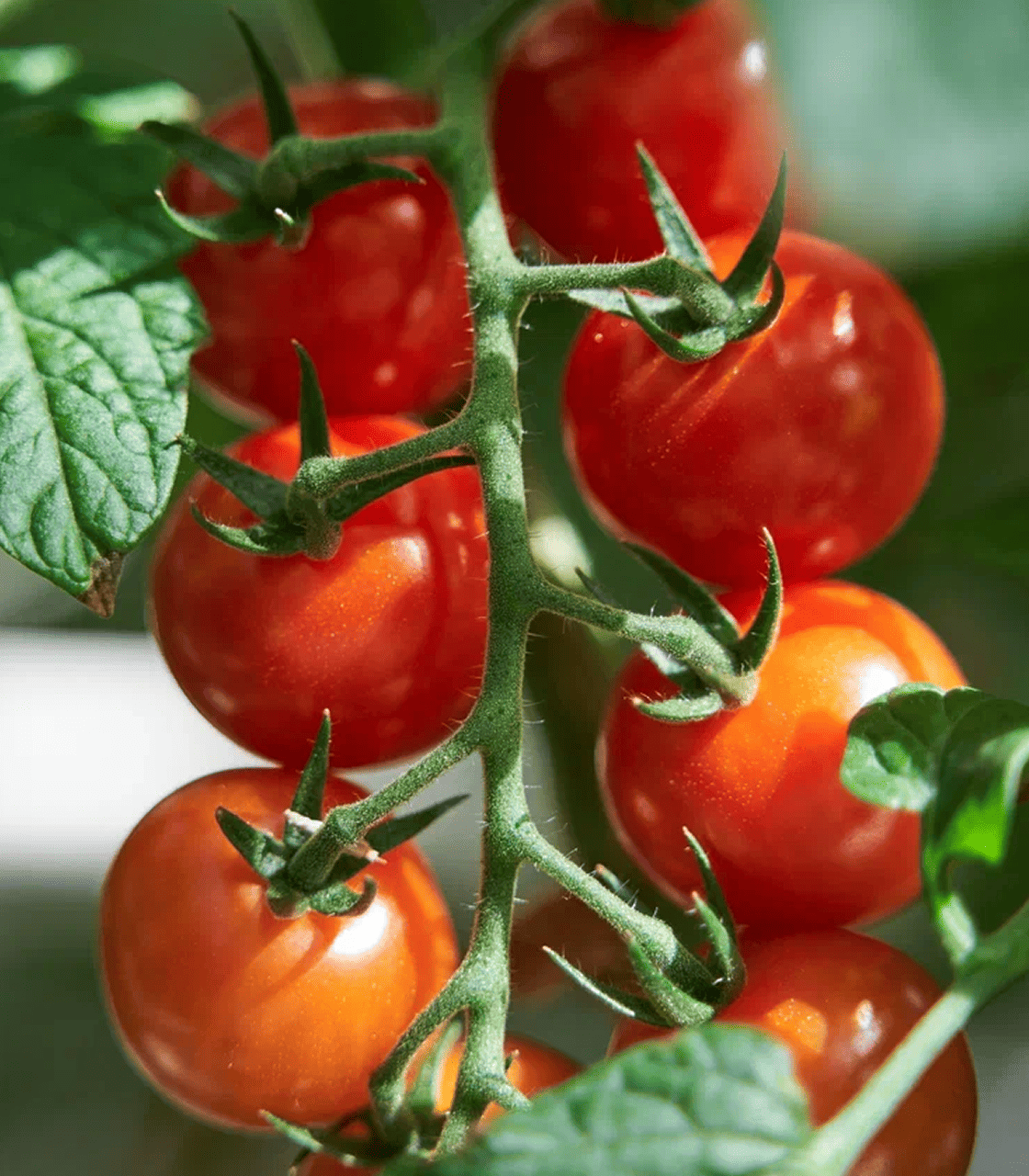 Наша история