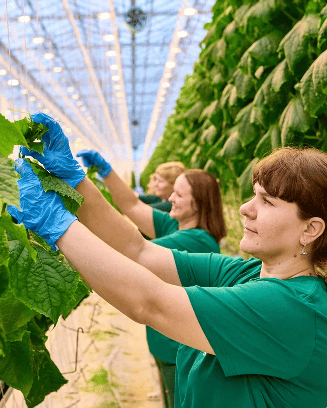 обратная связь