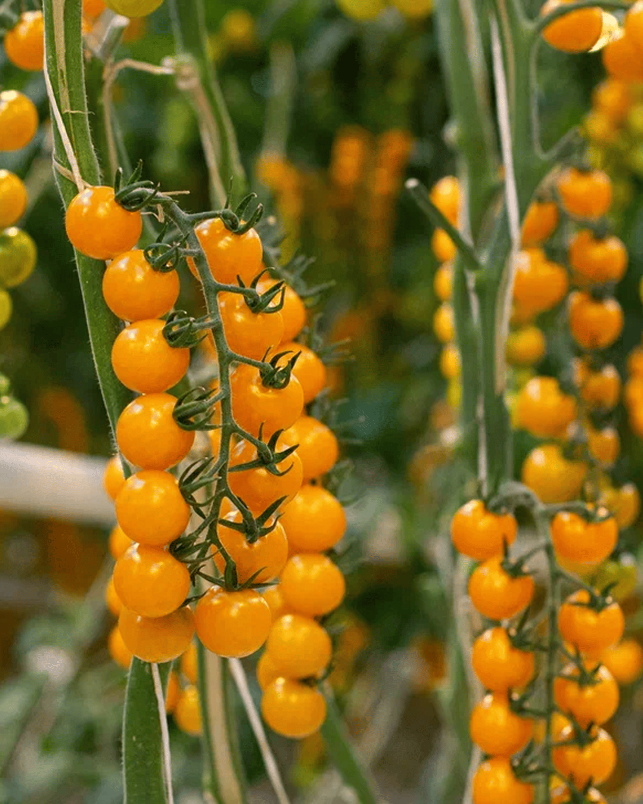 обратная связь