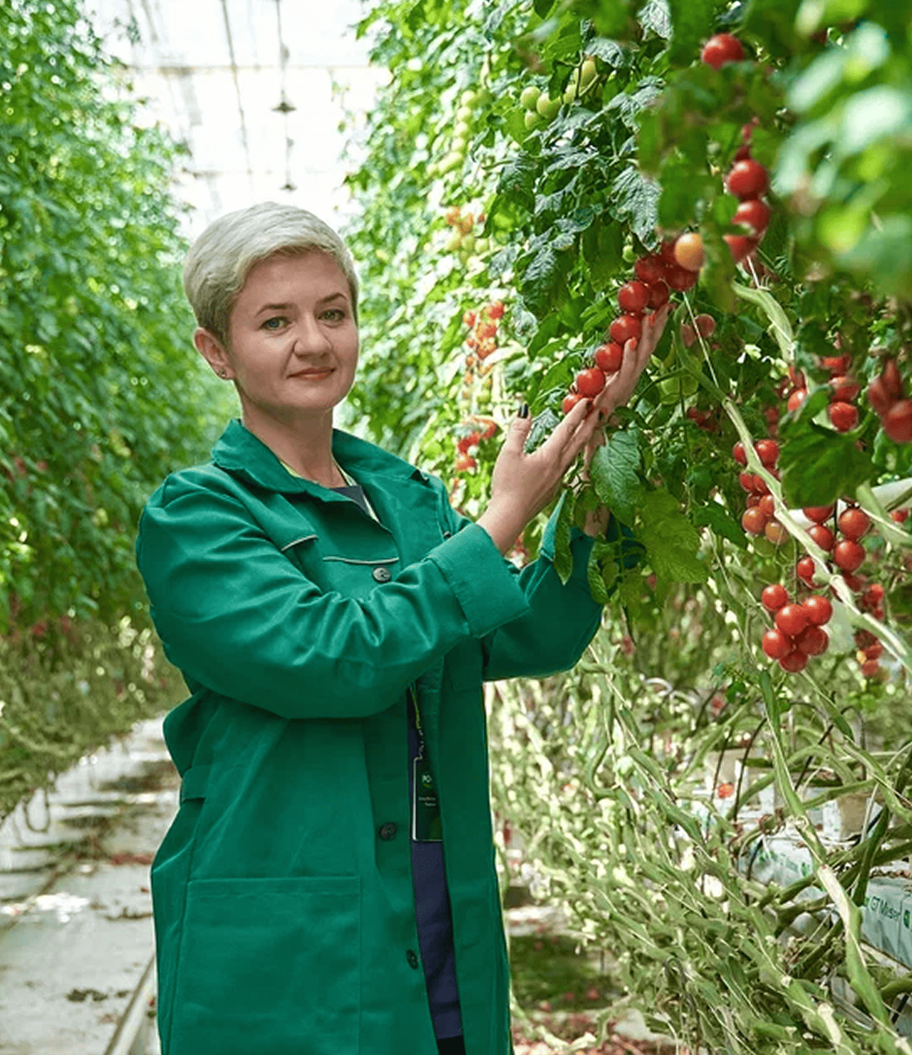 Сотрудничество