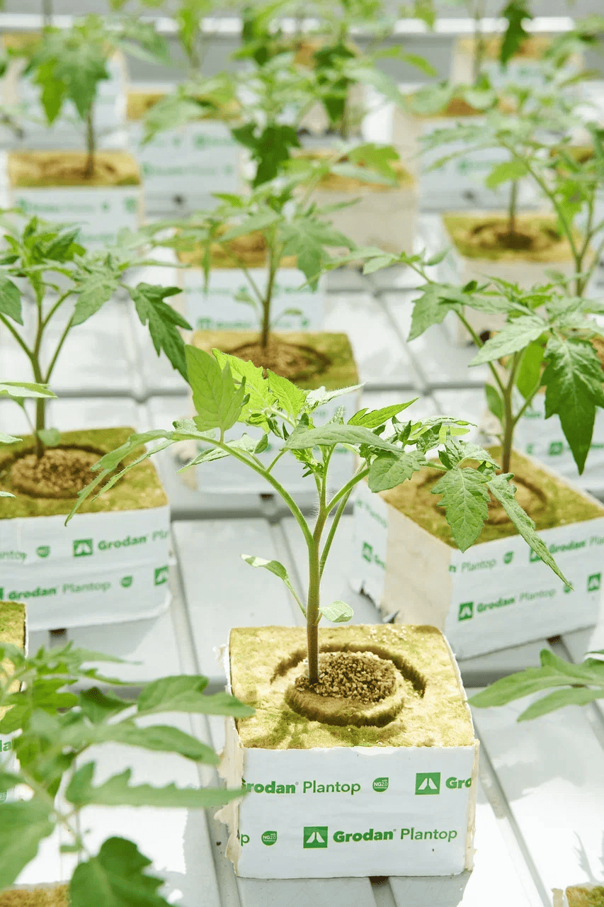 сотрудничество