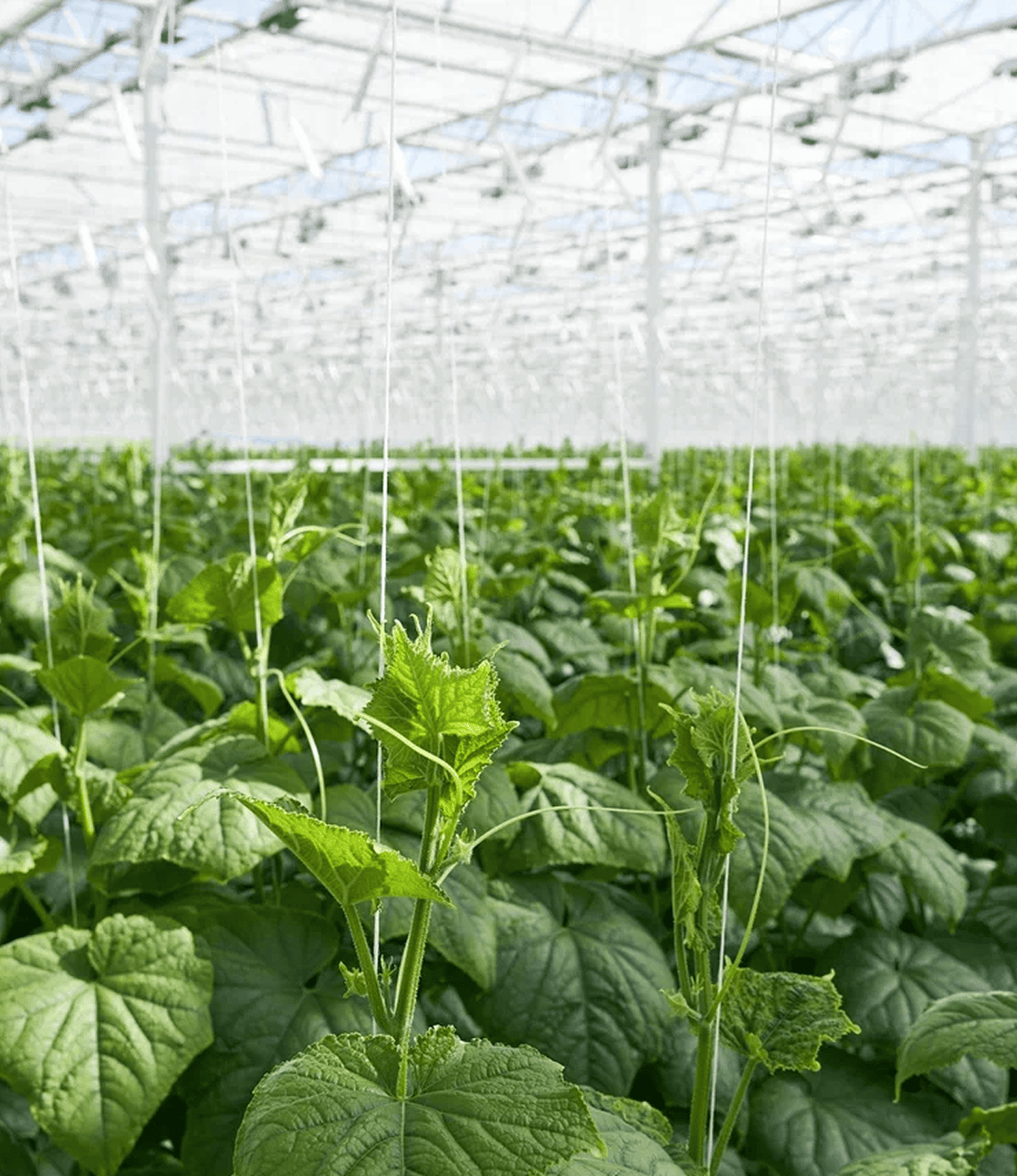 Сообщить о нарушении