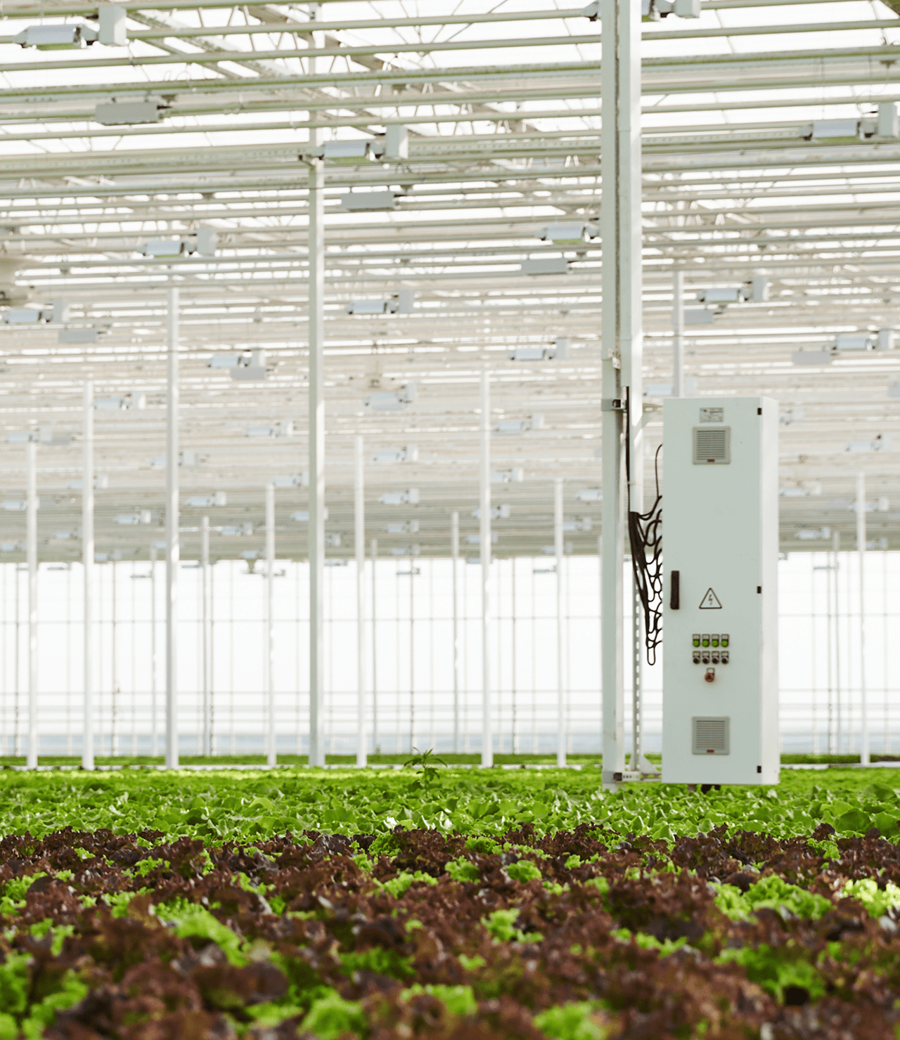 Ответственное производство