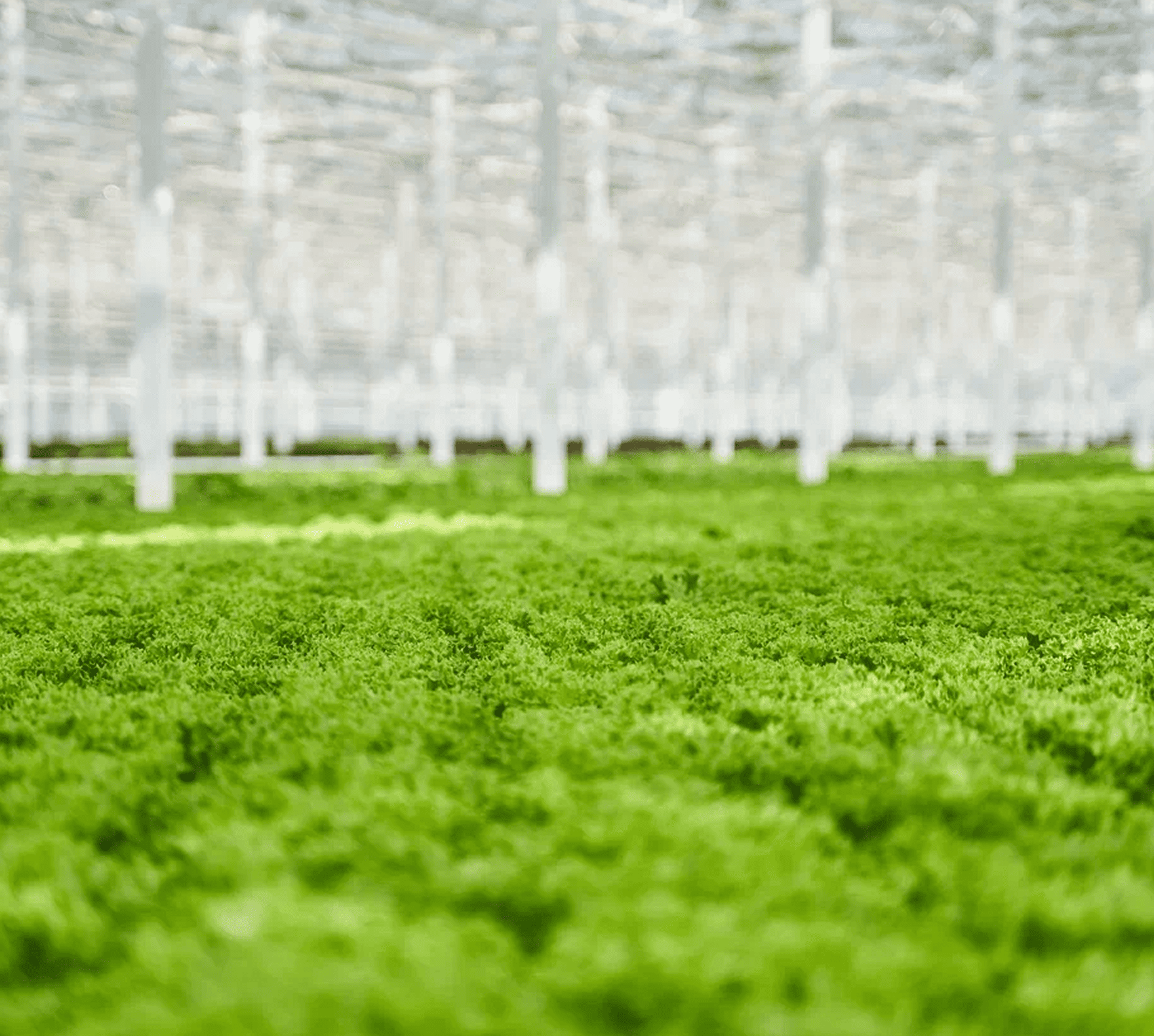 Природные технологии